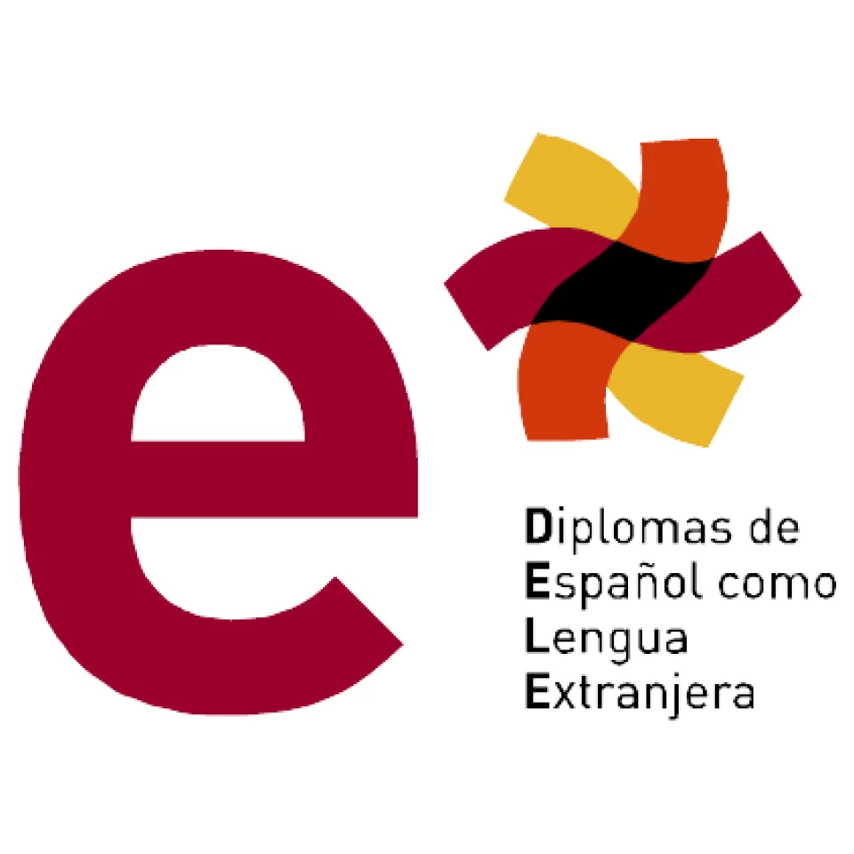 DELE Exam